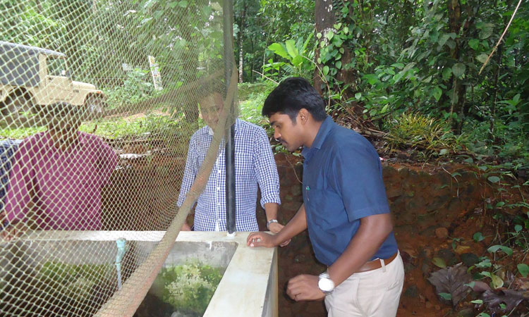 Haritha Bio Park Tourism-Panamkuzhy,Kodand