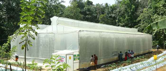 Hi-Tech Farm -Haritha Bio Park, Panamkuzhy,Kodanad